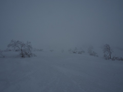 20180317_16