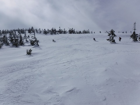 DSCF0574