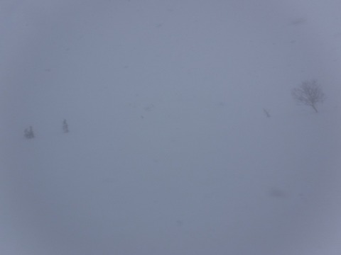 DSCF0739