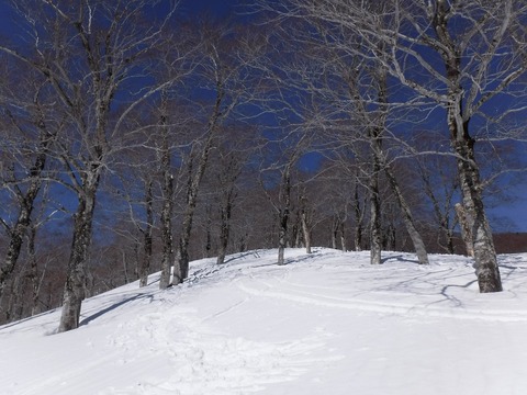 DSCF0642