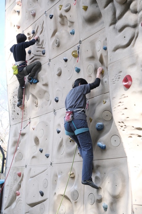 LINE_ALBUM_クライミング講習会2024.11.17_241118_5