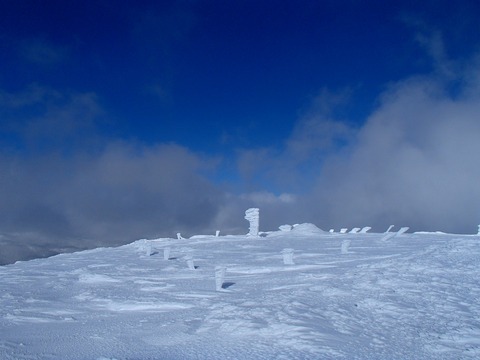 P2020021