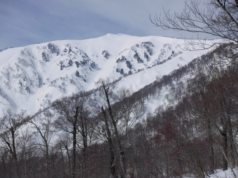 DSCF0522