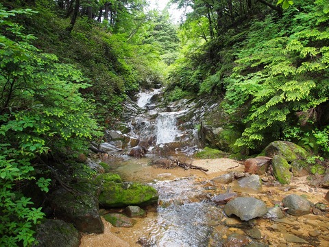 20190721_11