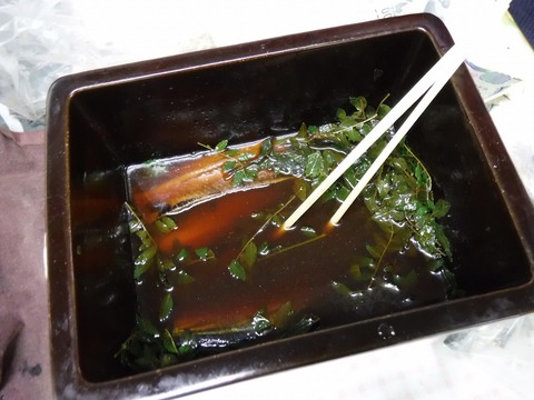 DSCF0721
