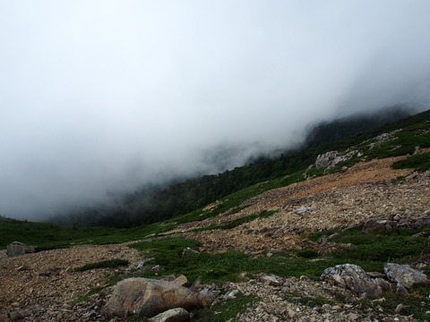 P8280149(1)