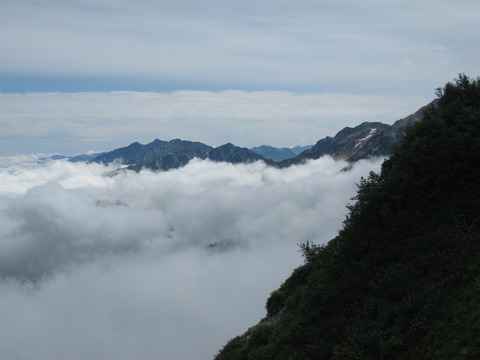 IMG_2662(1)
