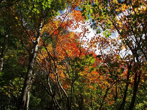 20181008_22