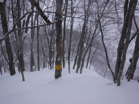 DSCF0096