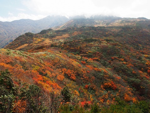 PA090361