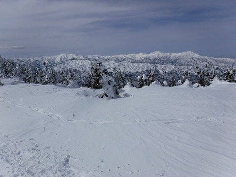 DSCF0668