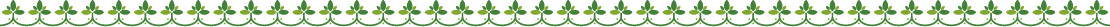 b_ornament_23_2L