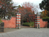 kuma