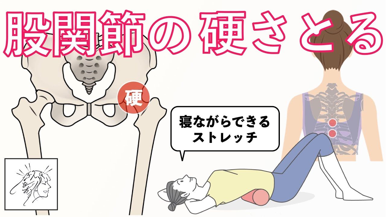 股関節の硬さがダイエットを阻害？寝たまま簡単ストレッチで解消しよう！ : 美の追求まとめ