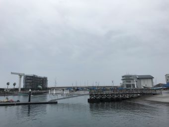 image_50358017