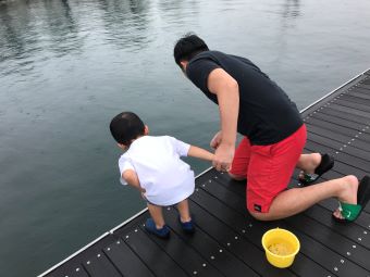 image_50388737