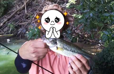 20190810_04