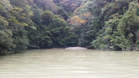 20191019_208