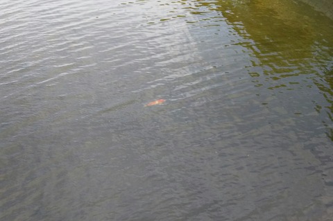 20170521_04