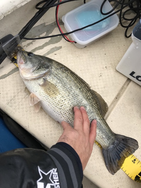 20180316_02