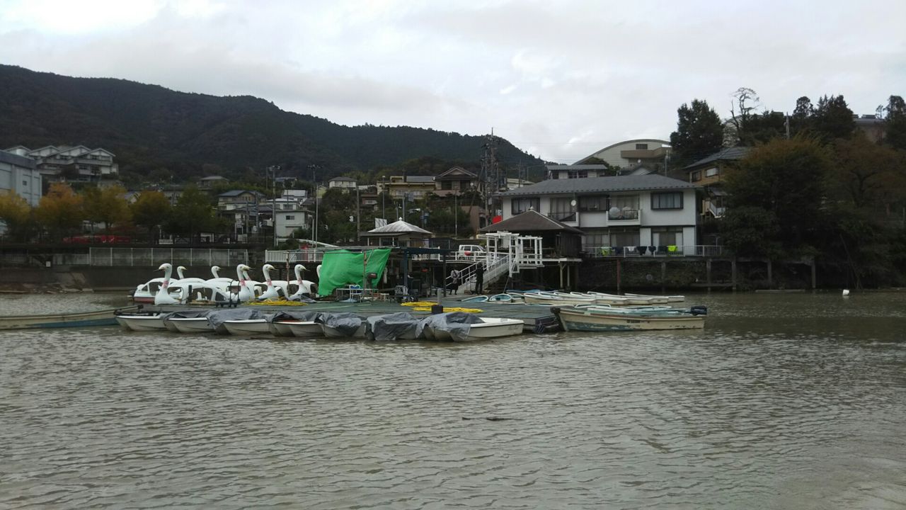 相模湖 10 19 土 相模湖の現状 ボート店編 教授 の釣り日記