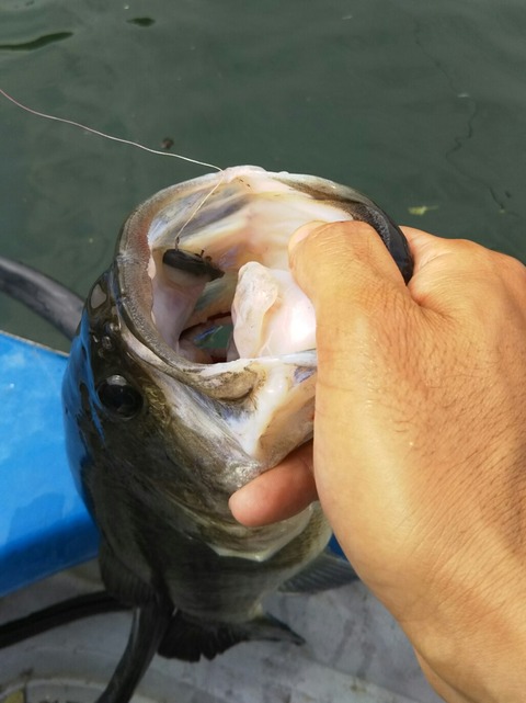 20170513_03