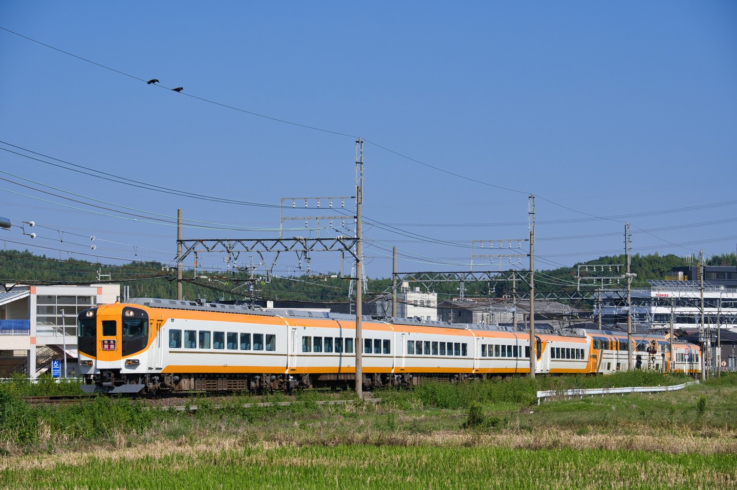 Nikon Z6Ⅱ購入記念 近鉄撮りまくり!!5 : NikonD7200に魅せられて