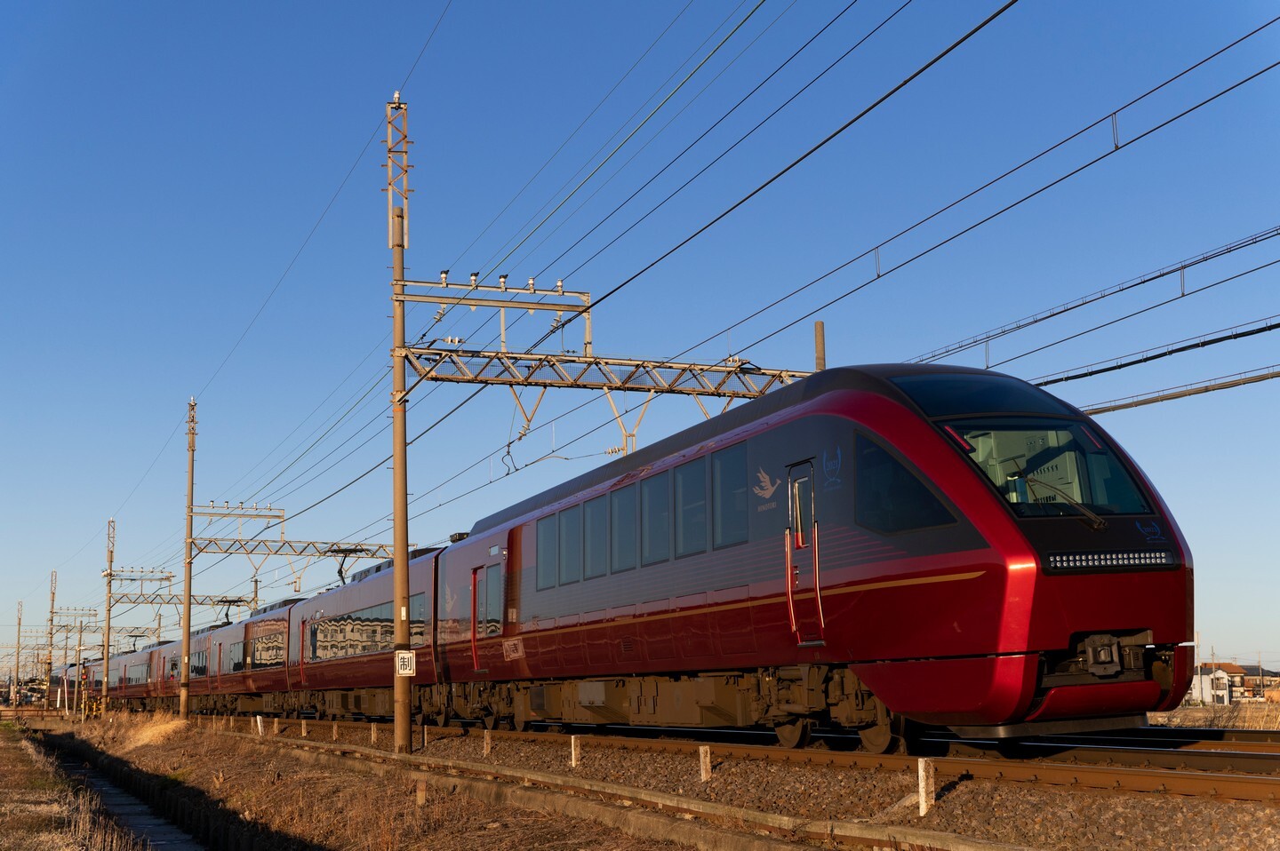 ブルーリボンひのとりコレクション 前編 : NikonD7200に魅せられて