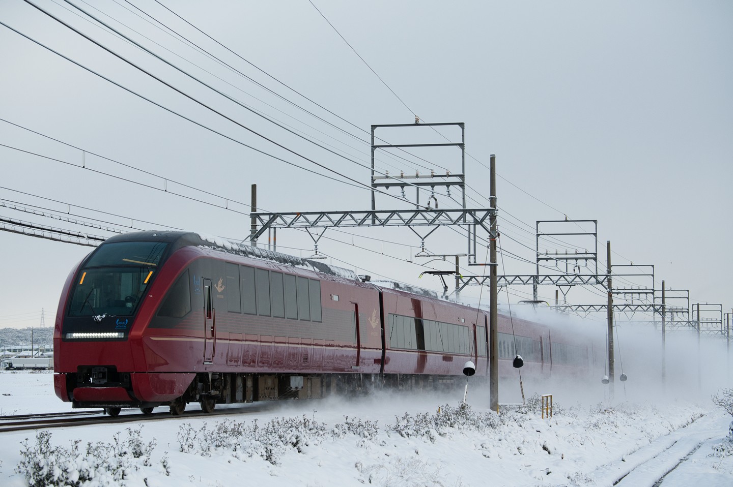 ブルーリボンひのとりコレクション 前編 : NikonD7200に魅せられて