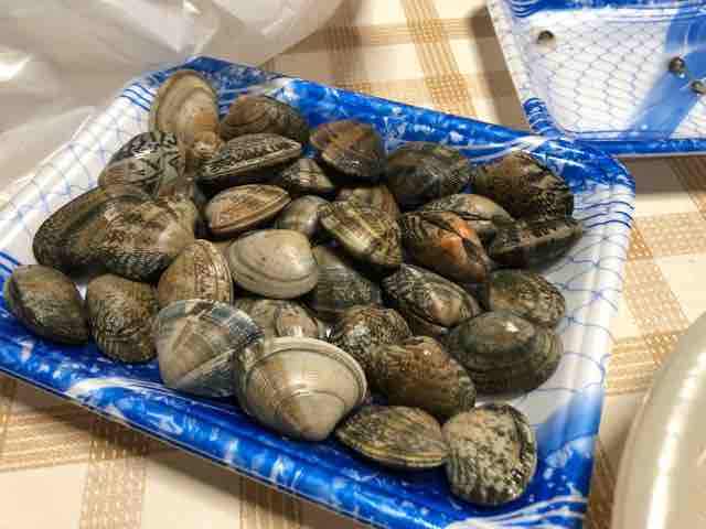 明日はカワハギへ コラムなブログ