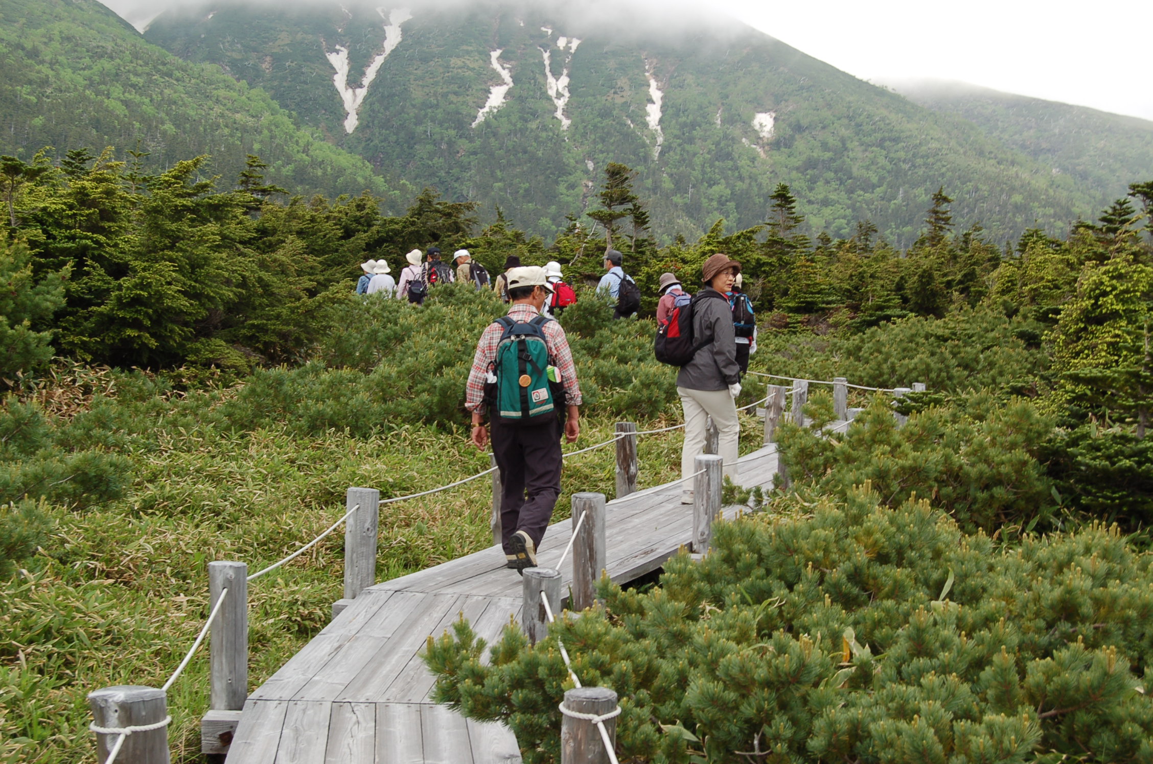 御嶽山 田の原天然公園 2180m 季楽
