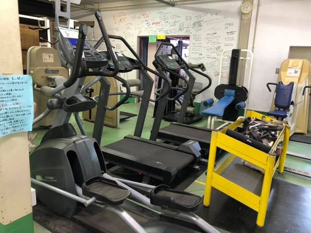 48394109_1730794907024633_4359554275462873088_n