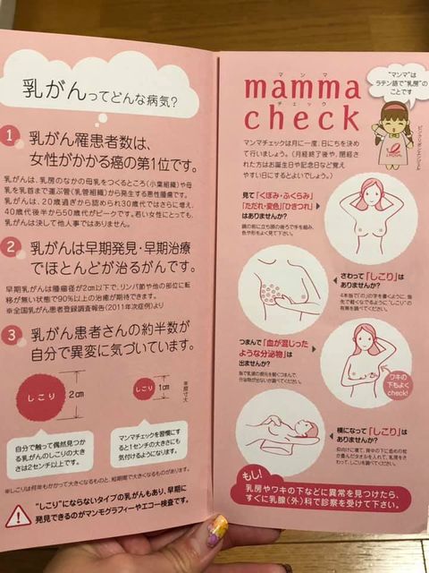 44997135_1662895620481229_7138980827072823296_n