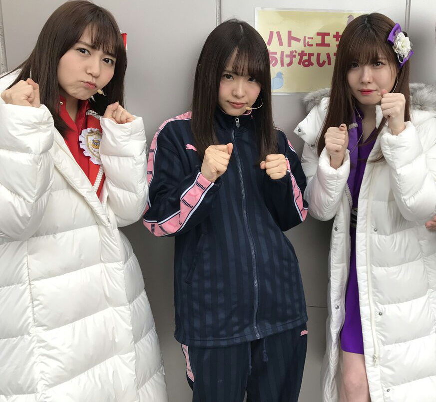 PUMAジャージ 216シリーズ : ジャージ＆ユニフォーム女子