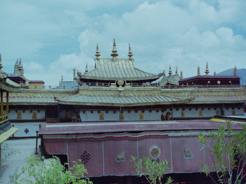 PICT0904