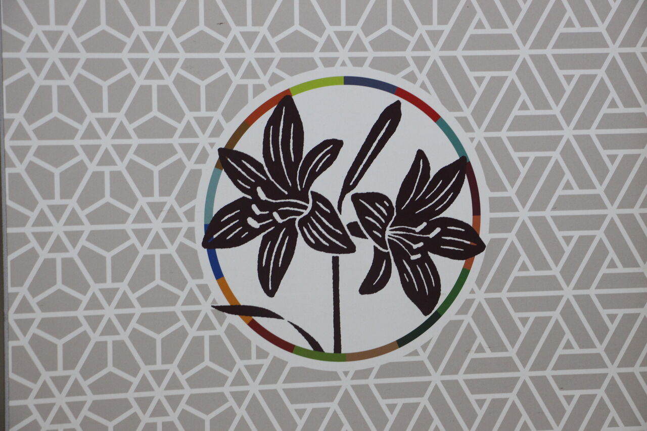 5系600番台 いろは 観光列車アーカイブ