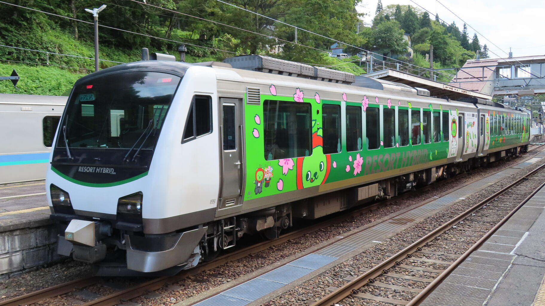 JR東日本 リゾートビューふるさとデビュー記念プレート JR東日本 リゾートビューふるさとデビュー記念プレート (快速