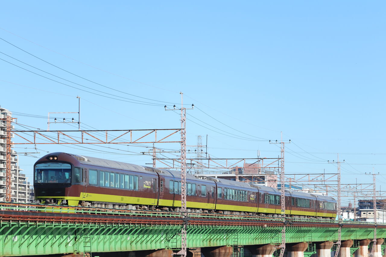 多摩川で新春初詣やまどりを撮影する 快特京王稲田堤の日々の日記 多摩川で新春初詣やまどりを撮影する 快特京王稲田堤の日々の日記