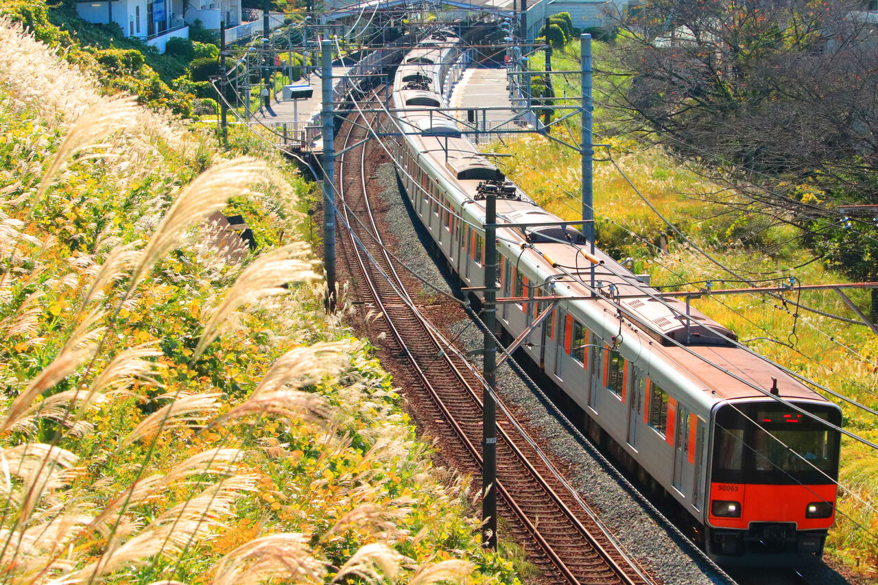 すずかけ台で東武電車と東急8500系を撮る 快特京王稲田堤の日々の日記