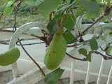 c13e6f96.jpg