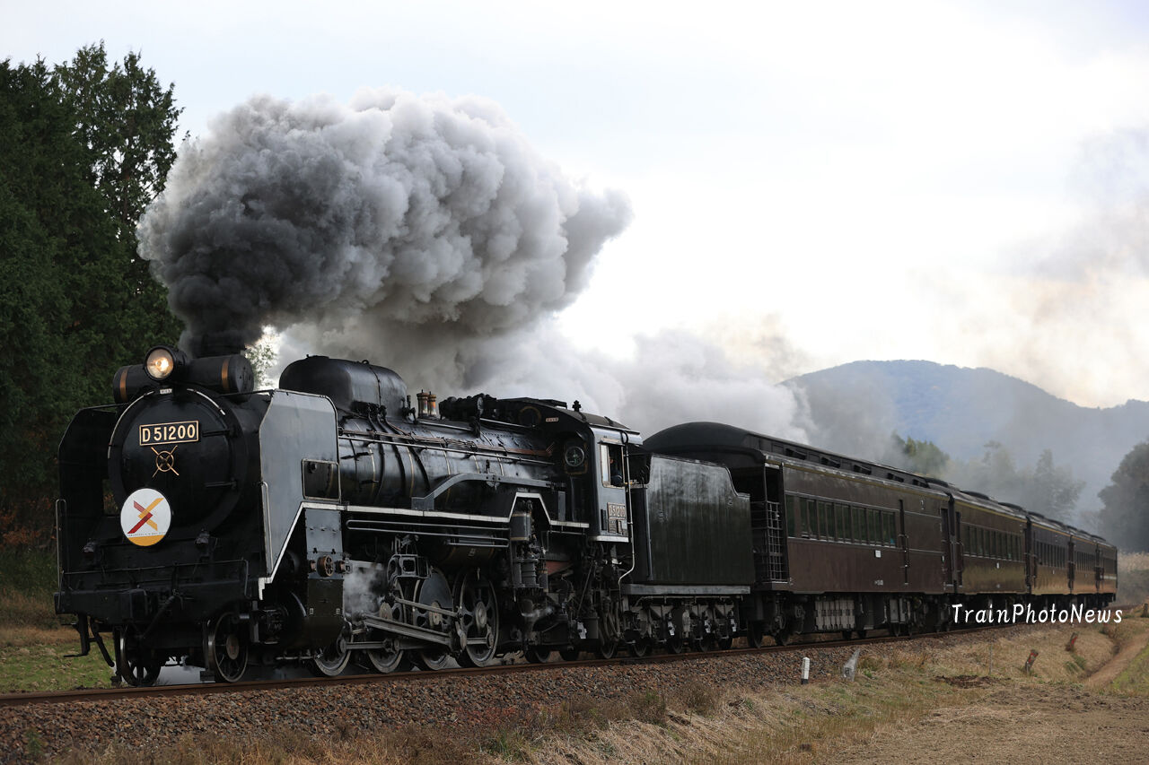 12 19運転 D51 0牽引slクリスマス号 Trainphotonews 12 19運転 D51 0牽引slクリスマス号 Trainphotonews