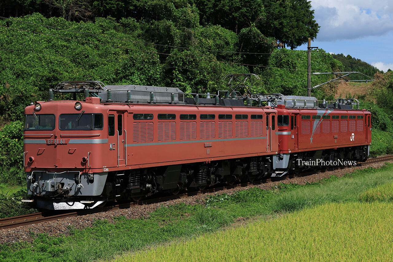 2025/8/28運転 EF81-81牽引EF81-80仙台配給 : TrainPhotoNews