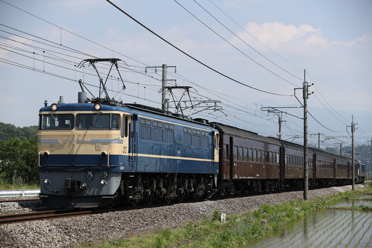 2018/6/4運転 EF65-501＋旧客5両＋EF64-1053水上乗務員訓練 : TrainPhotoNews