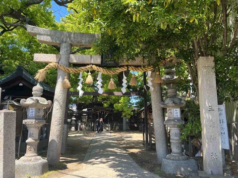 【大阪府門真市】大阪府最大級のクスノキ 国の天然記念物にも指定されている巨樹・薫蓋樟がご神木の三島神社
