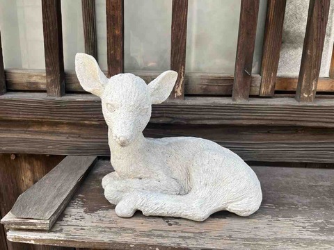 IMG_5805