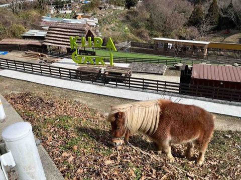 【生駒市～東大阪市】暗越奈良街道 暗峠を越えて枚岡神社へ