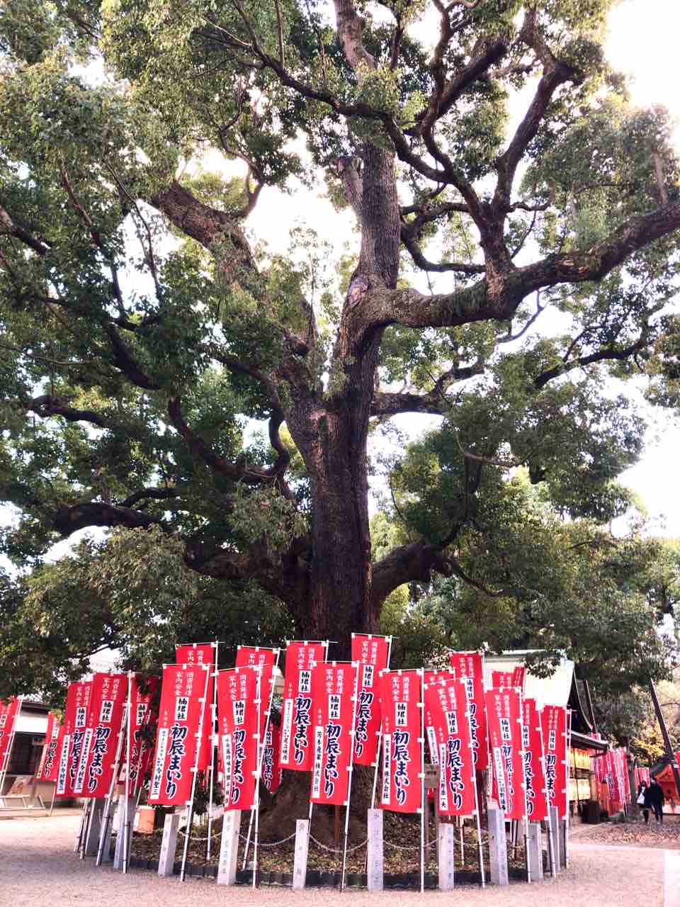 住吉大社後編 商売繁盛の神様 初辰さんと子授けの神様 種貸社 勝手に堺市広報大使 住吉大社後編 商売繁盛の神様 初辰さんと子授けの神様 種貸社 勝手に堺市広報大使