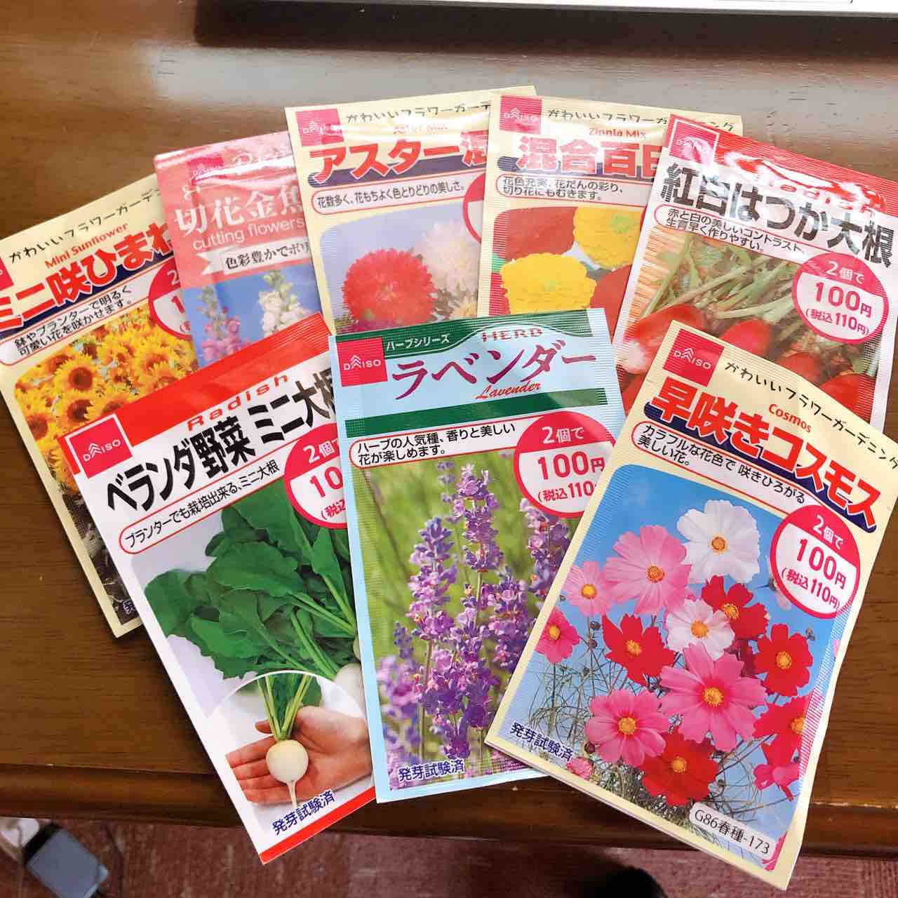 初心者が家庭菜園をはじめました ひまわりと大根の種まきをした話 勝手に堺市広報大使 初心者が家庭菜園をはじめました ひまわりと大根の種まきをした話 勝手に堺市広報大使