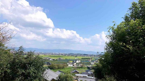 IMG_0501