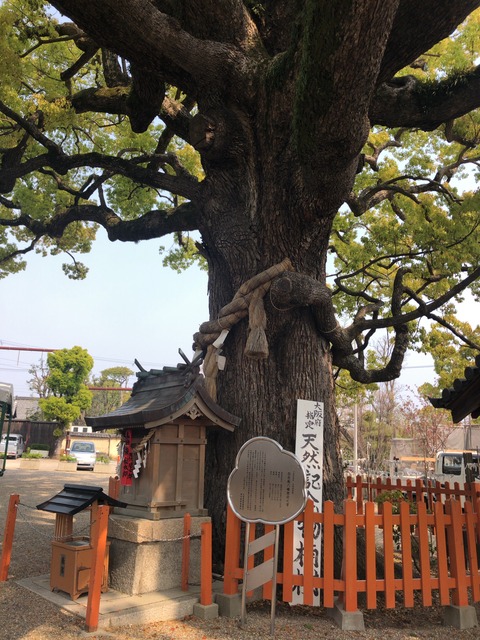 5D0350DA-337D-49A4-996B-8F3F33464BA2